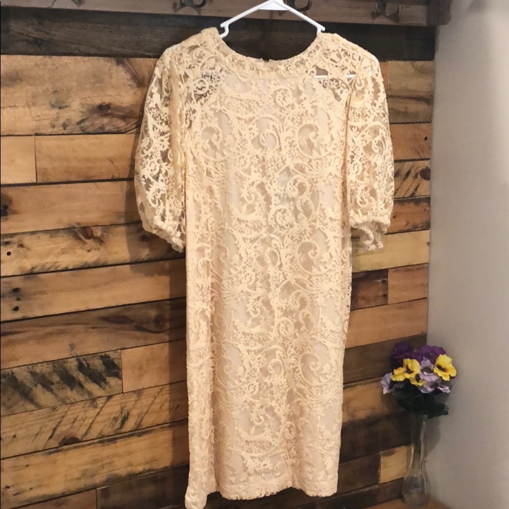 New York & Company Lace Dress